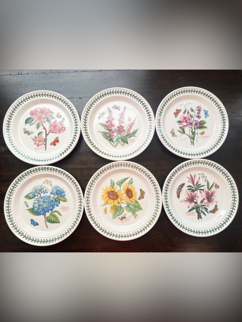 NWT Portmeirion Botanic Garden 10” Floral Ceramic Dinner Plates Big Set of 6